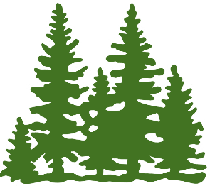 


Betula pendula
Paljasjuurne
2 aastane
Taime pikkus alates 30cm
Taimed on sertifitseeritud















Taimed sobivad metsa istutamiseks. Hektarile istutad